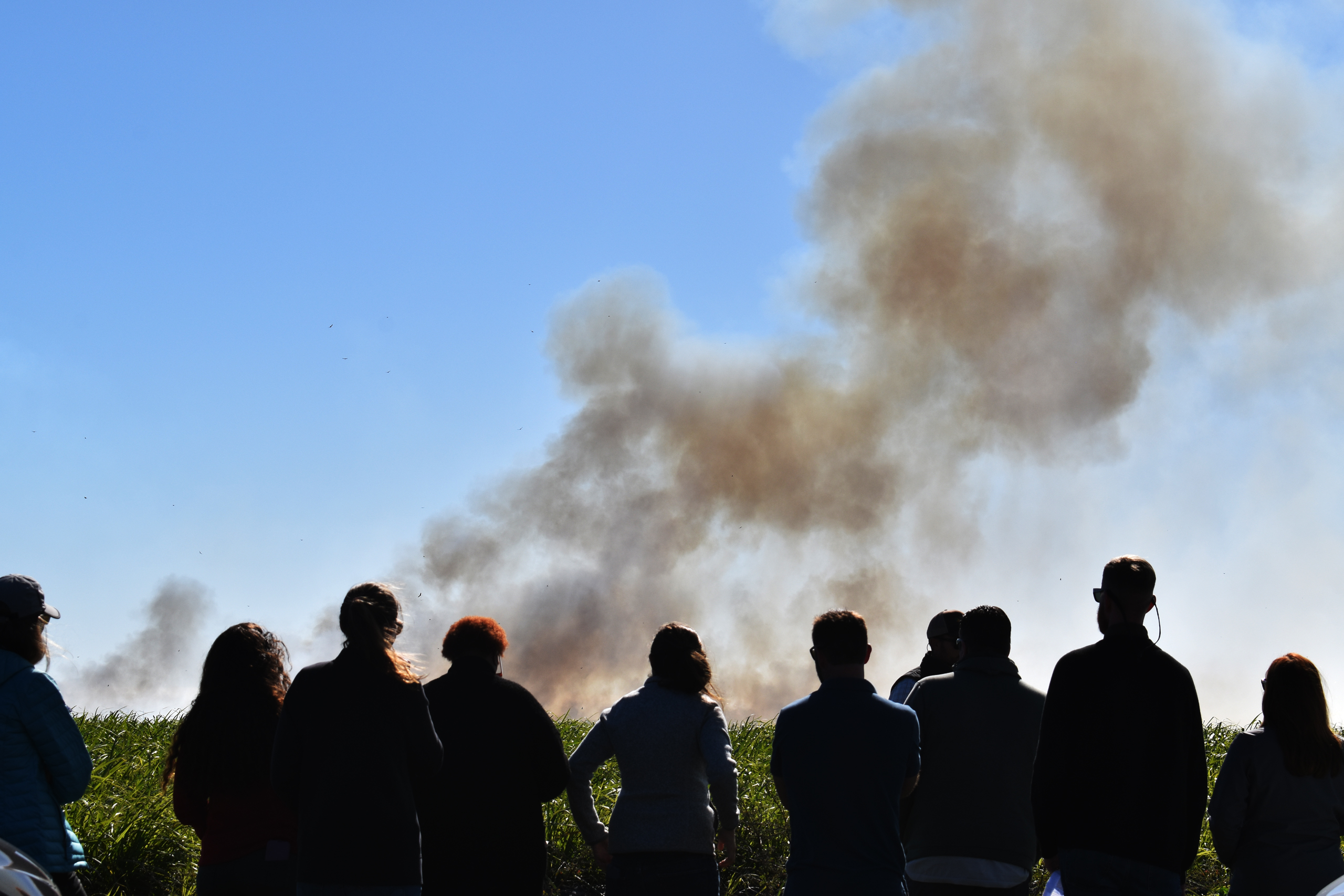 A group of students in silhouette looking at smoke rising from a field